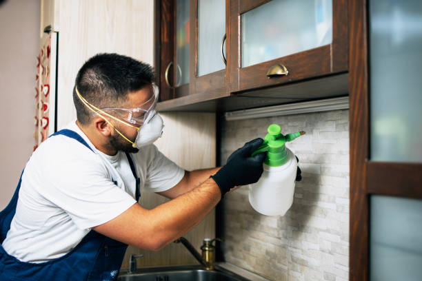  Sandy, OR Pest Control Pros