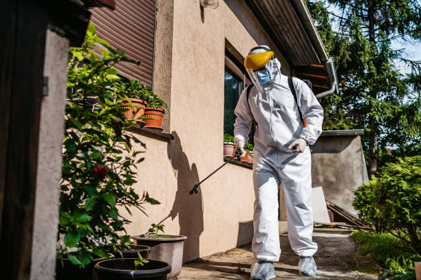 Best Affordable Pest Control Services  in Sandy, OR