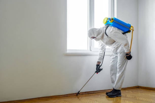 Trusted Sandy, OR Pest Control Experts