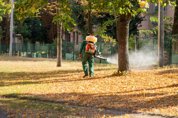 Best Best Pest Control Companies  in Sandy, OR