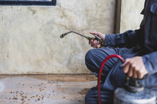 Best Affordable Pest Control Services  in Sandy, OR