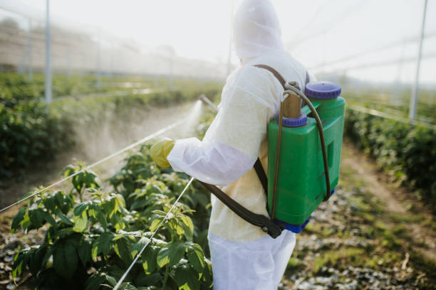 Best Flea Control Services  in Sandy, OR